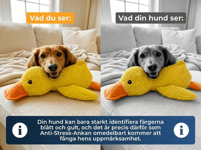 CalmDuck™