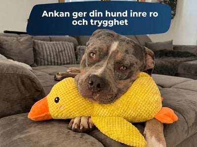 CalmDuck™
