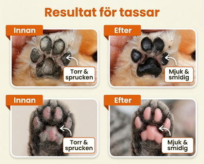 Tassbalsam - Naturlig tassvård för hund & katt